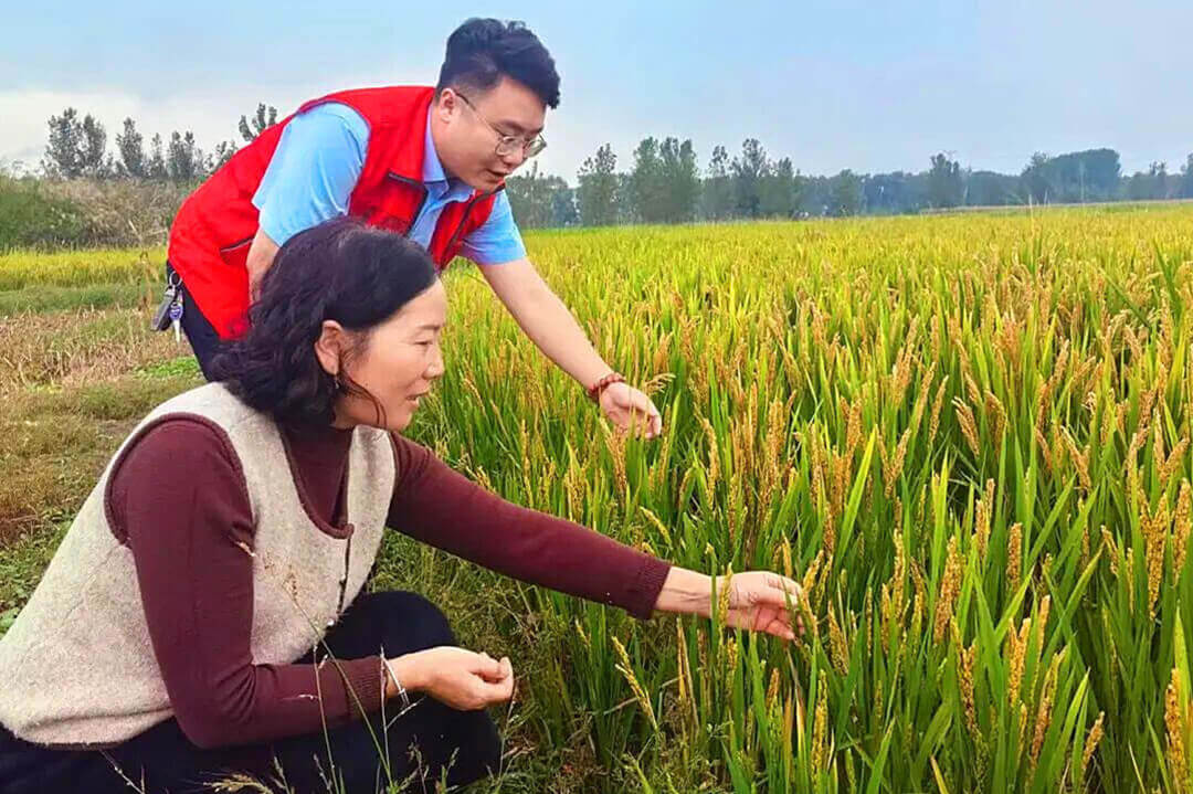 兰陵农商银行：金融快“贷”为丰收护航